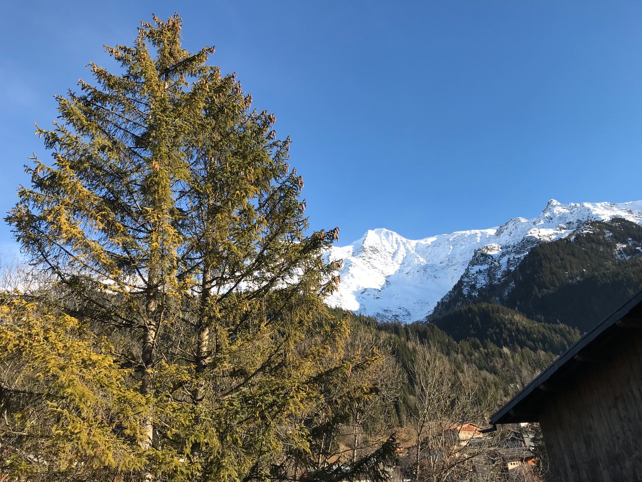 paysage de montagne